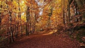 Какво време ни очаква през уикенда