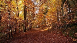 Какво време ни очаква през уикенда