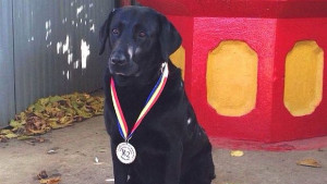 Българското куче Жерар открива нелегални цигари за помалко от 2