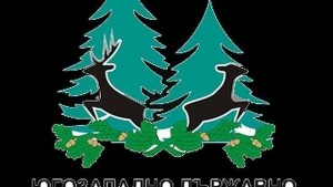 Разбиха автомобил на контролно звено към ТП ДГС Струмяни