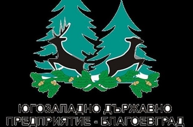 Разбиха автомобил на контролно звено към ТП „ДГС Струмяни”