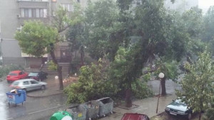 Оранжев код за бурен вятър в Хасково и още 13