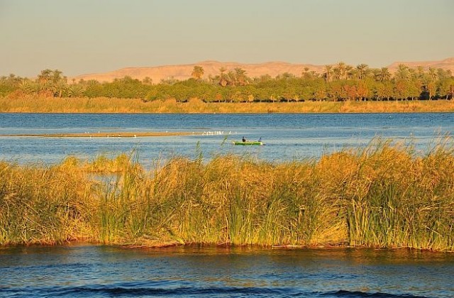 Заради облог: Холандската посланичка в Судан плува в Нил