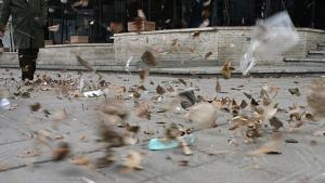 Ураганният вятър отминава облачно и дъждовно време