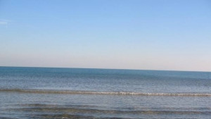 Робот се движи във вода ползвайки органична материя