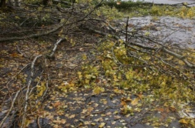 11 сигнала за щети от бурният вятър в Кюстендилска област