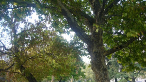 Старозагорски ученици ще гледат безплатно пиесата Спасителят