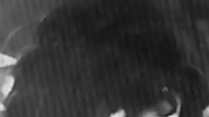 Др Иванка Денева получи найвисокото академично звание