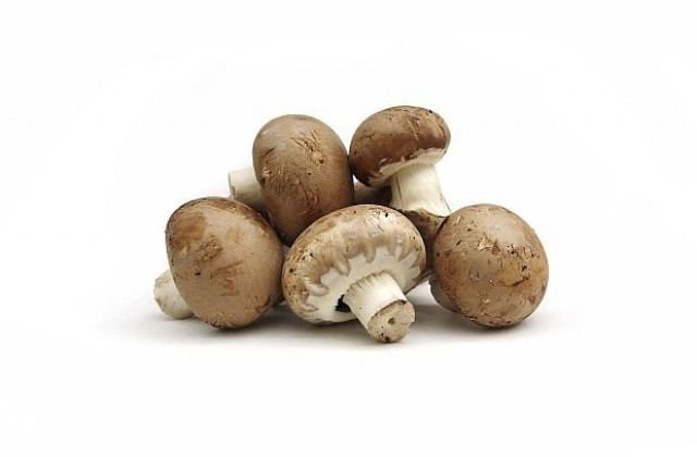 Пенсионер издъхна след гощавка с мухоморки