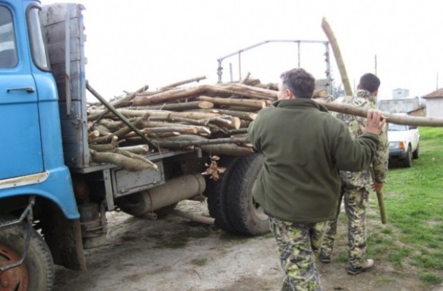 Институции набелязват мерки за справяне с незаконния дърводобив