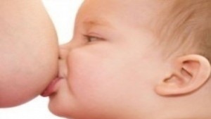 Започва семинар на тема Кърмене и захранване в Сливен