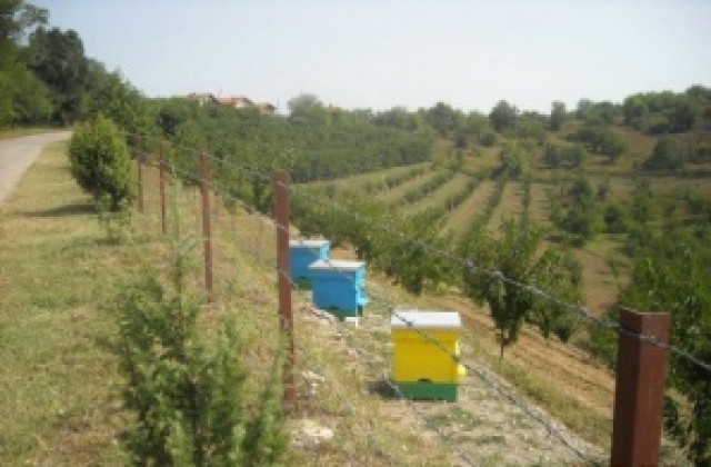 Земеделец се оплака от имотни схеми в община Невестино