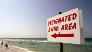 Учени тестваха първите дронове за следене на акули