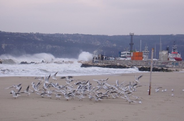 Пристанище Варна затвори заради силен вятър