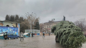 Коледната елха в Кюстендил ще грейне на 4 ти декември