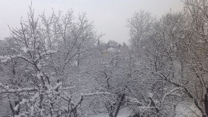 Валежи от дъжд и сняг