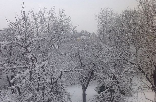 Валежи от дъжд и сняг