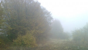 Валежите обхващат цялата страна