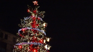 На 1 декември светва Коледната елха в Дряново