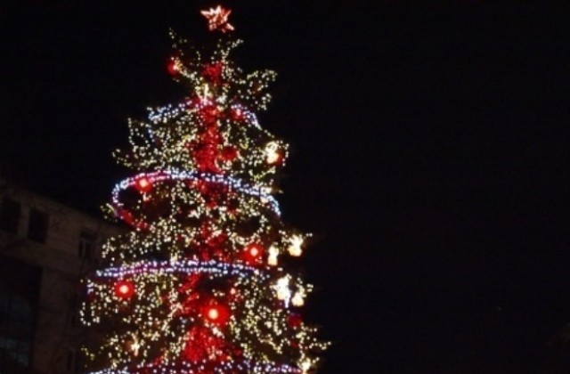 На 1 декември светва Коледната елха в Дряново