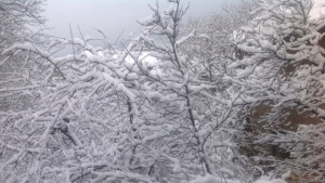 Първите снежинки прехвърчаха в София
