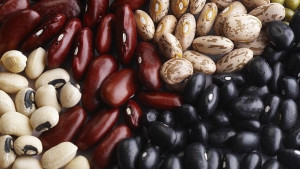 Хиляди се събират за празника на фасула в Смилян