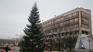 Коледната елха грейва на 3 декември