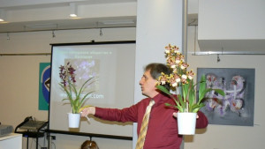 Орхидеено общество основаха във Варна