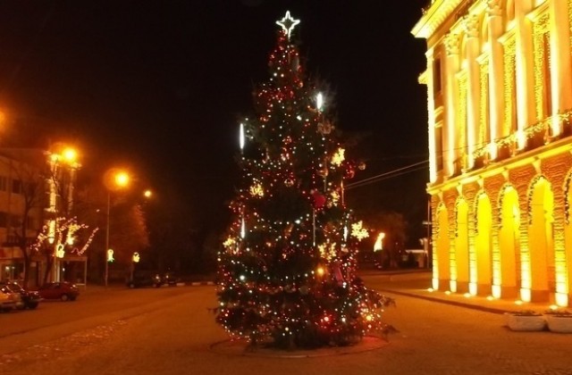 Коледната елха в Сливен ще грейне на 7 декември