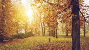 Времето на 30 ноември Предимно слънчево