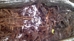 Прогноза за времето за 30 ноември понеделник