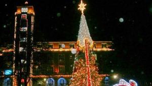 Този петък запалват светлините на Коледната елха в Плевен