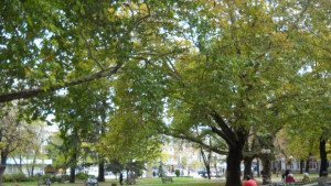 Температурите през декември от минус 10 до 16 градуса