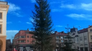 Поставиха коледната елха в Сливен
