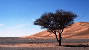 Смразяващи данни за глобалното затопляне след 1997 г