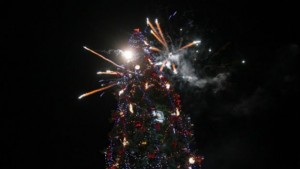 Грейна коледната елха на София СНИМКИ