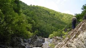 Пожарникари вадиха паднала баба от река в Златоград
