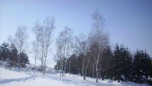 Температурите през декември от минус 10 до 16 градуса