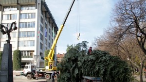 Коледното дърво в Стара Загора е красива 17метрова ела