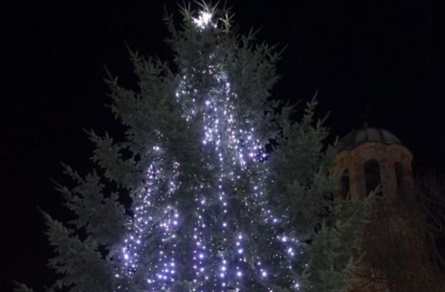 Коледната елха в Севлиево грейна