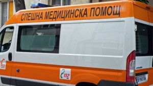Мъж падна от дърво и загина на място