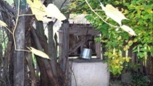 Собственик на куче намери любимеца си обесен в геран