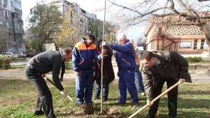 Зелената система в Южен се съживява