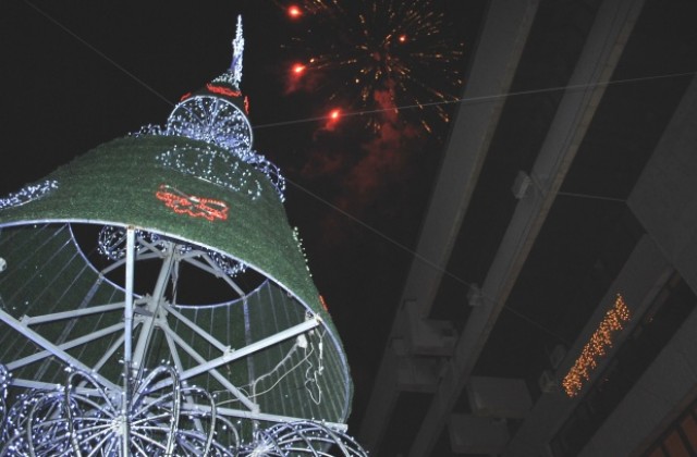 Грейнаха светлините на коледната елха