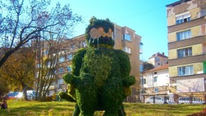 Зелената котка с нов костюм на 4 декември