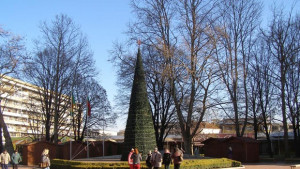 Палят светлините на коледната елха