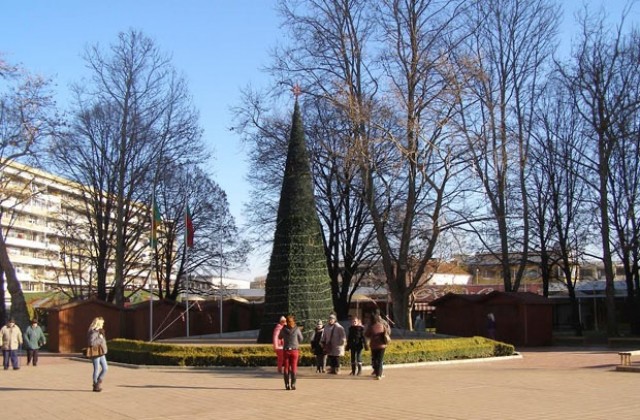Палят светлините на коледната елха