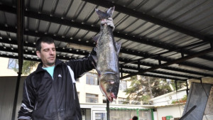 Поверия за късмет и благополучие на Никулден