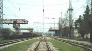 Влак уби кон