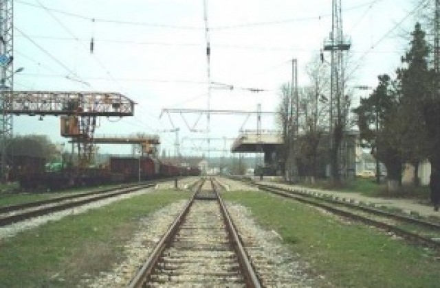 Влак уби кон